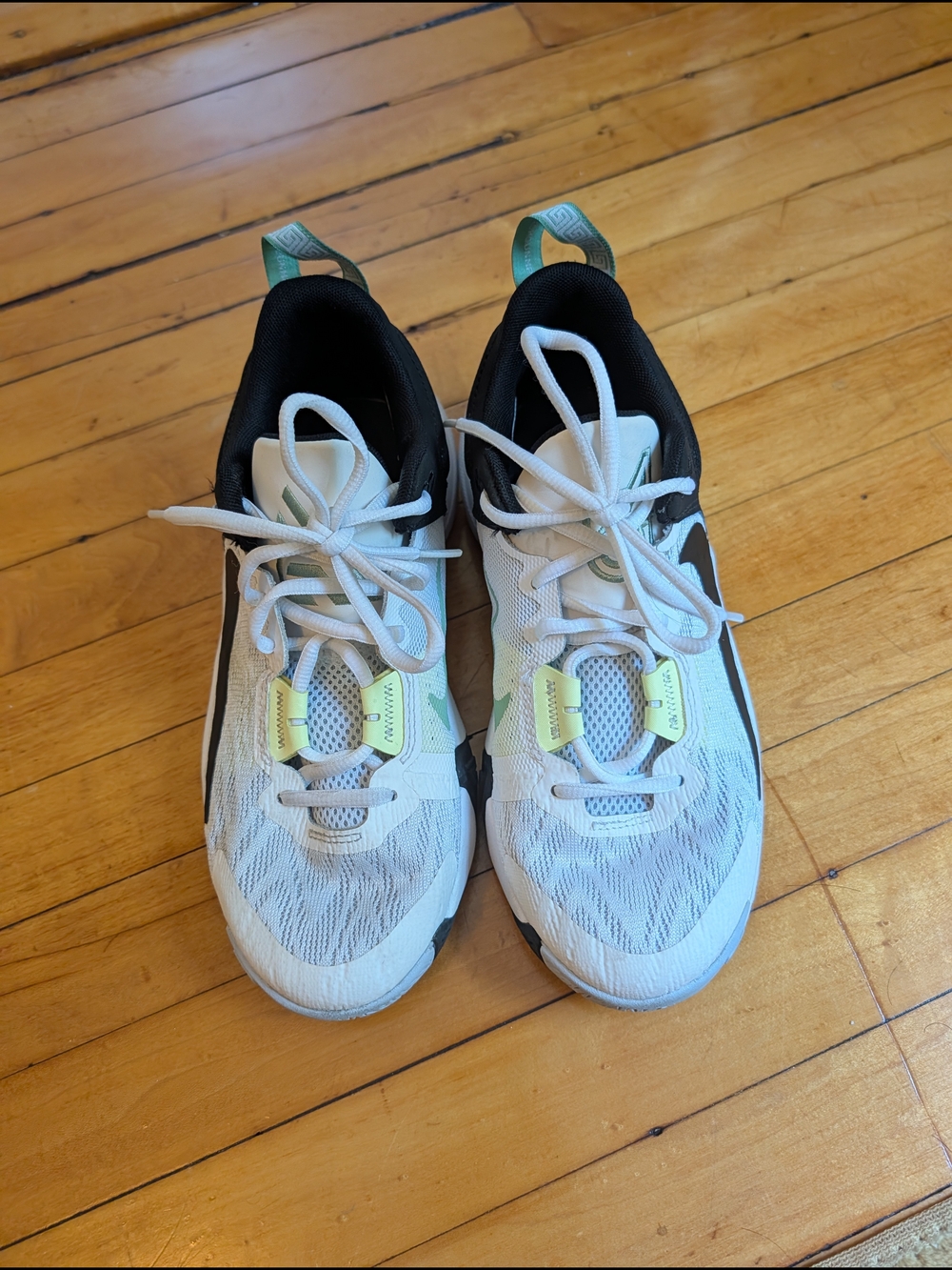 Nike Gianis Antetokounpo Light Gray and Mint Basketball Sneakers